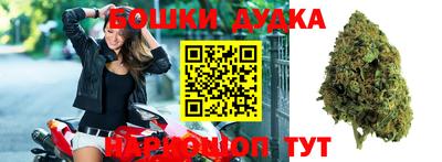 PSILOCYBIN Тулун