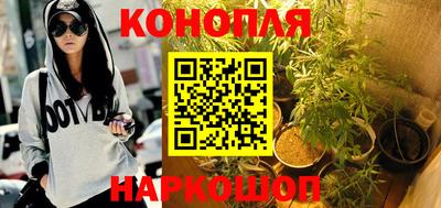 PSILOCYBIN Тулун
