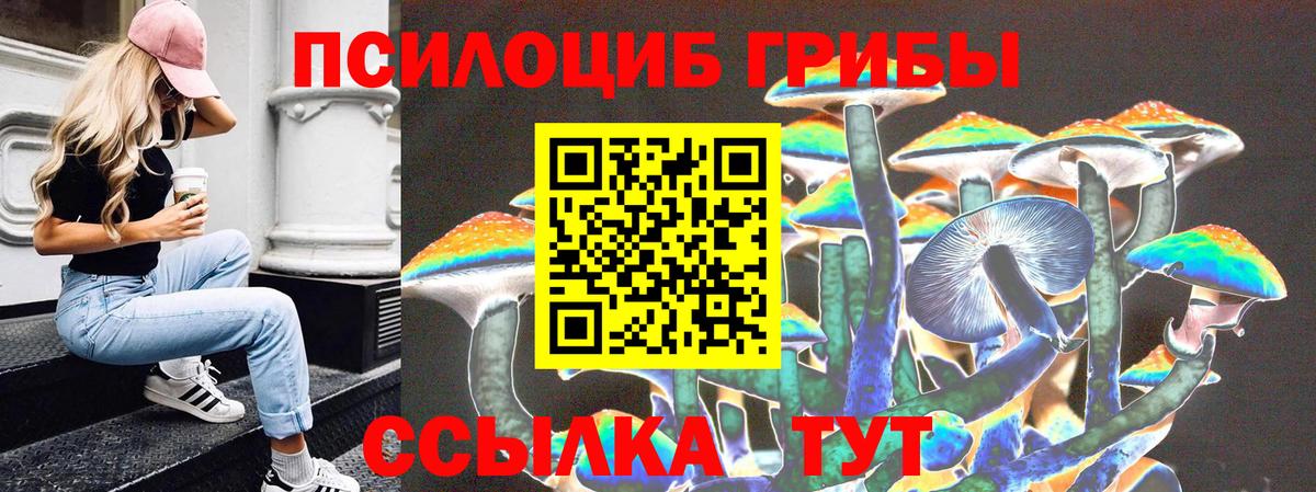 Псилоцибиновые грибы MAGIC MUSHROOMS Новочебоксарск