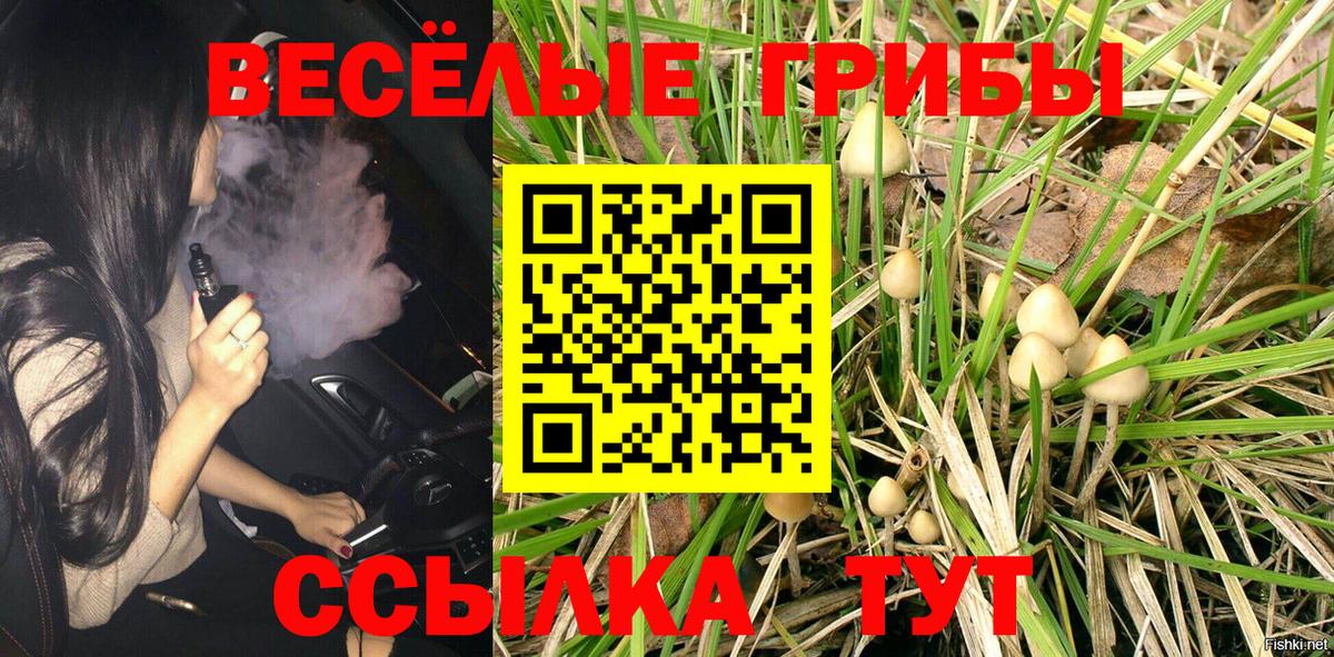 Новочебоксарск  Галлюциногенные грибы мухоморы  Вход с VPN 